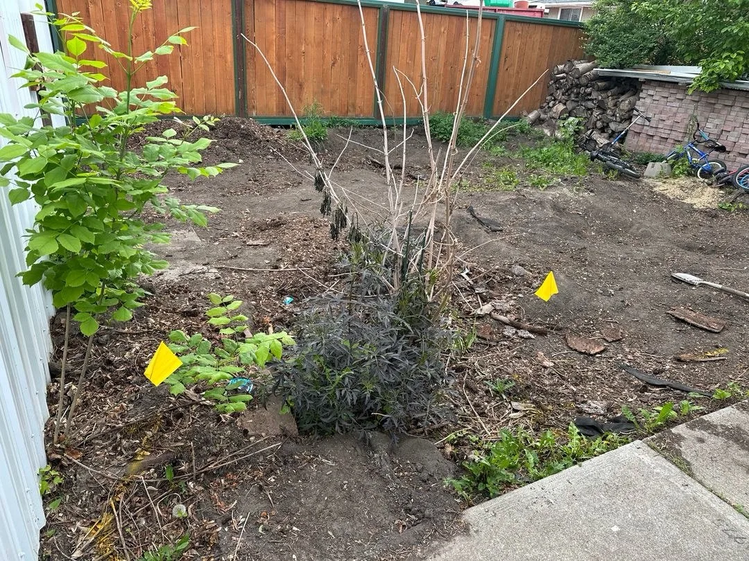 Calgary backyard before soil excavation and site preparation