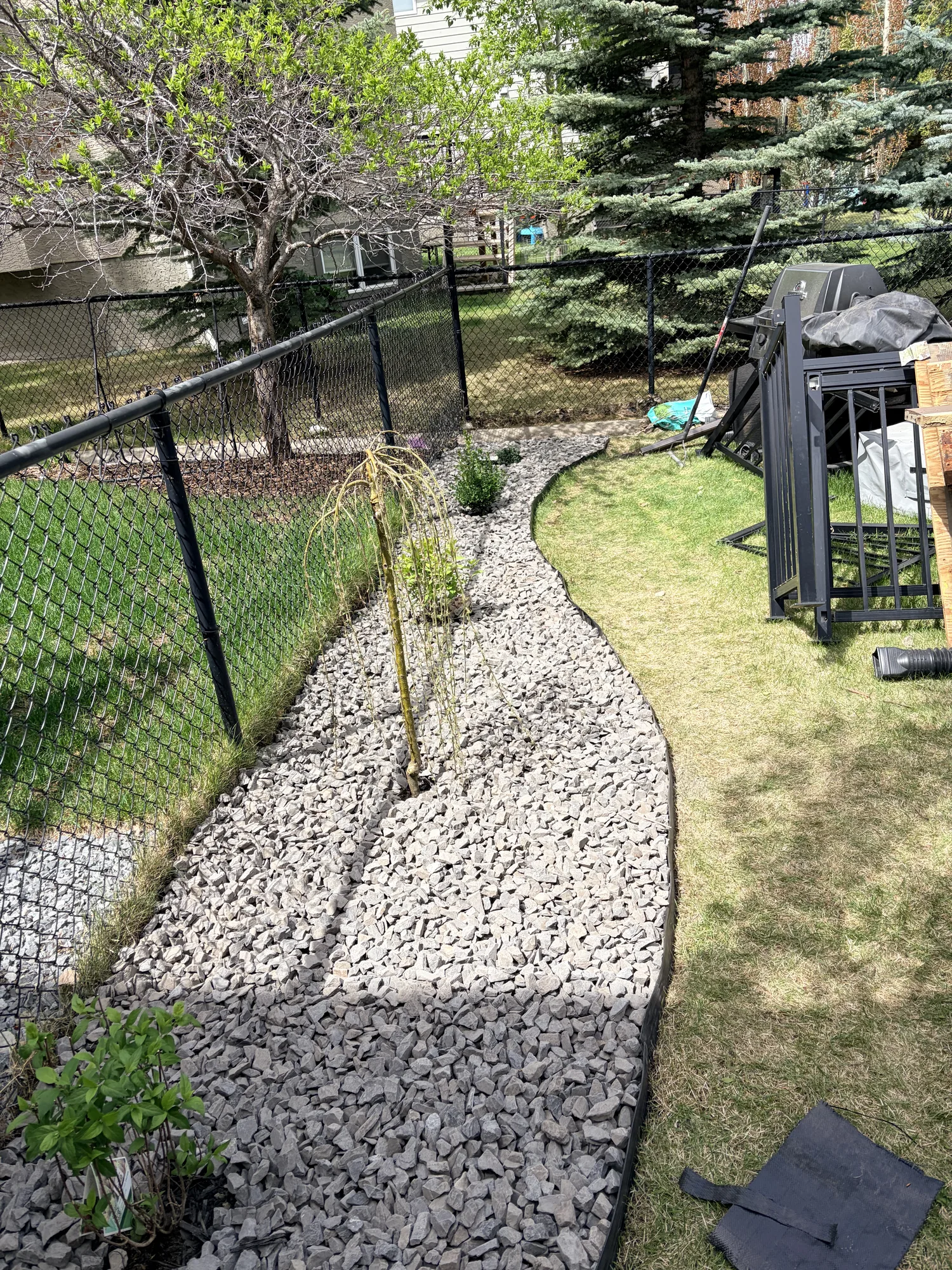 Backyard Rundle Rock bed with a tree and a clean lawn edge at a Calgary property