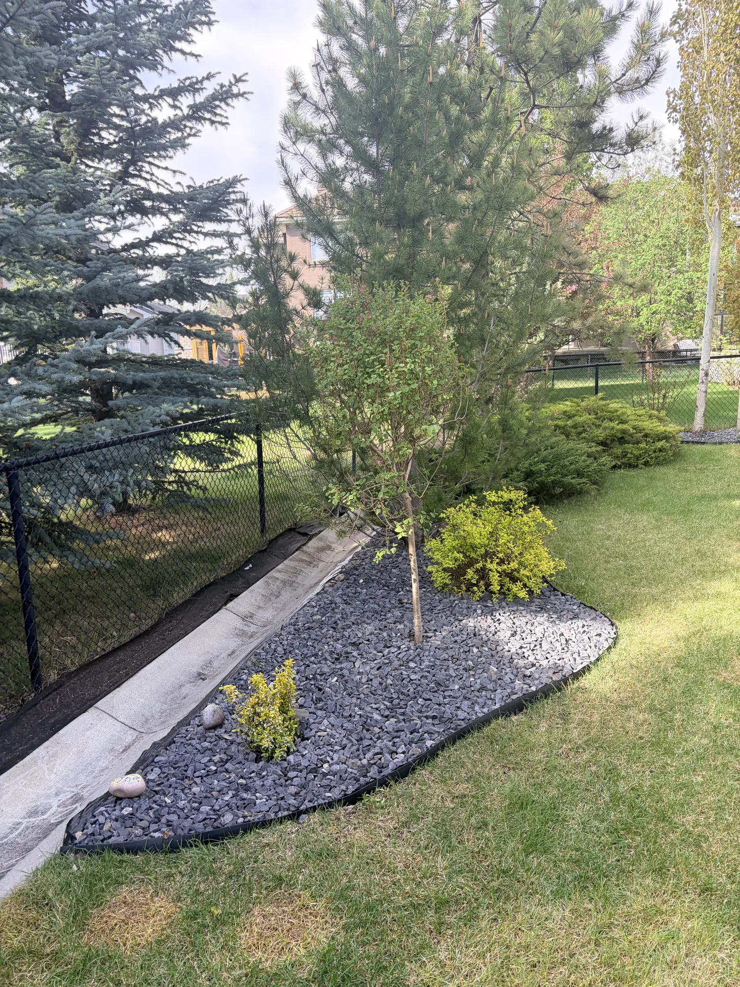 Curved decorative rock garden bed with a tree and shrubs beside a concrete walkway in Calgary