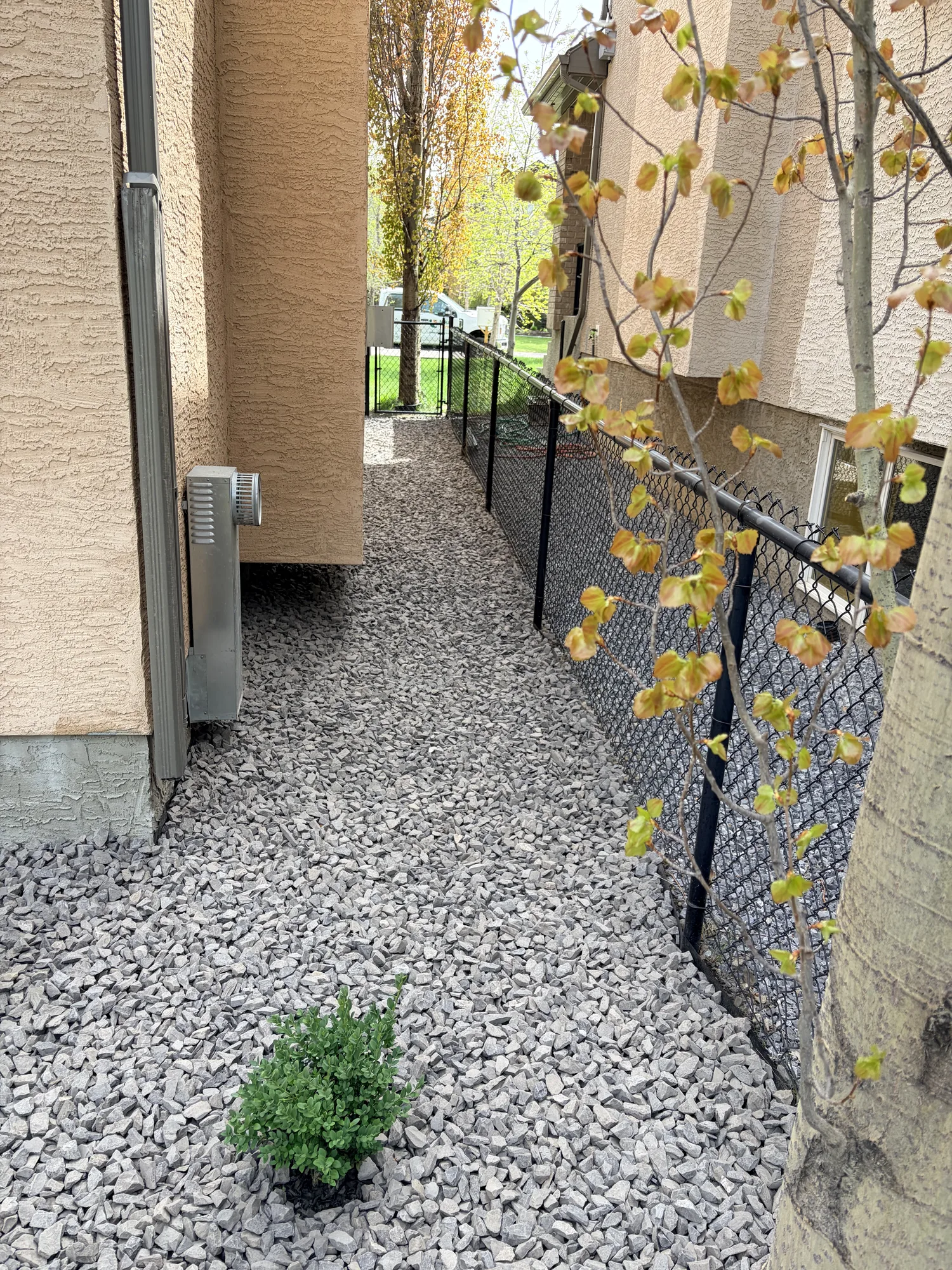 Narrow side yard finished with Rundle Rock and a shrub along a Calgary home and fence