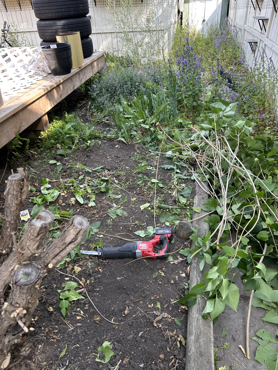 Overgrown Calgary backyard bed before weed removal and rock installation