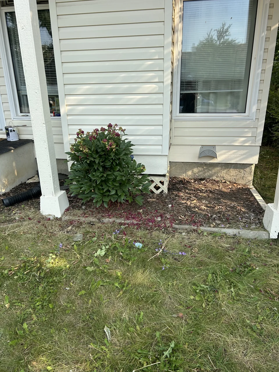 Calgary front landscape bed before property sale preparation