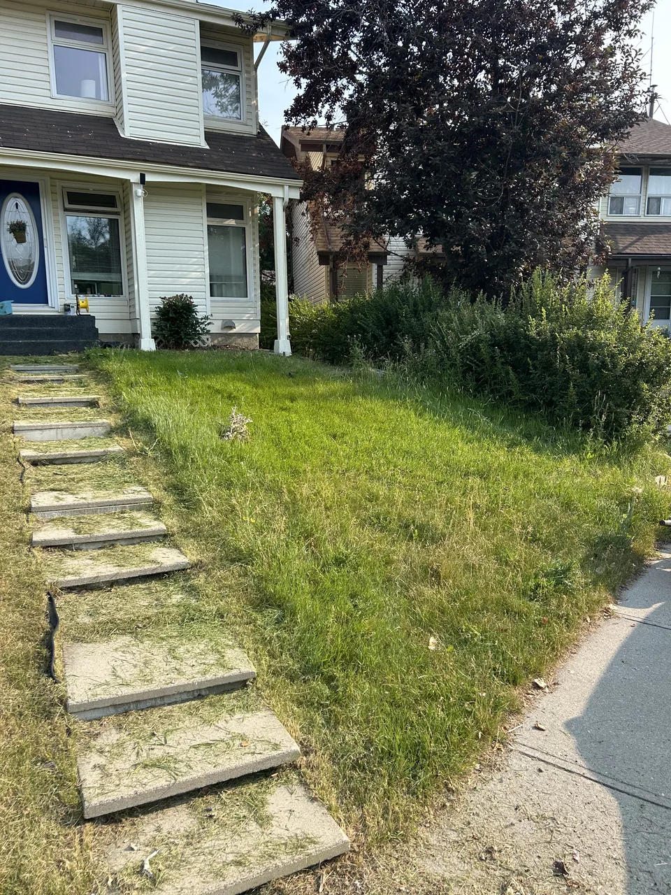 Calgary front yard before property sale cleanup and hedge trimming