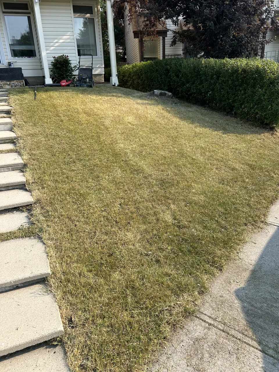 Calgary front yard after hedge trimming, mowing, and property sale cleanup