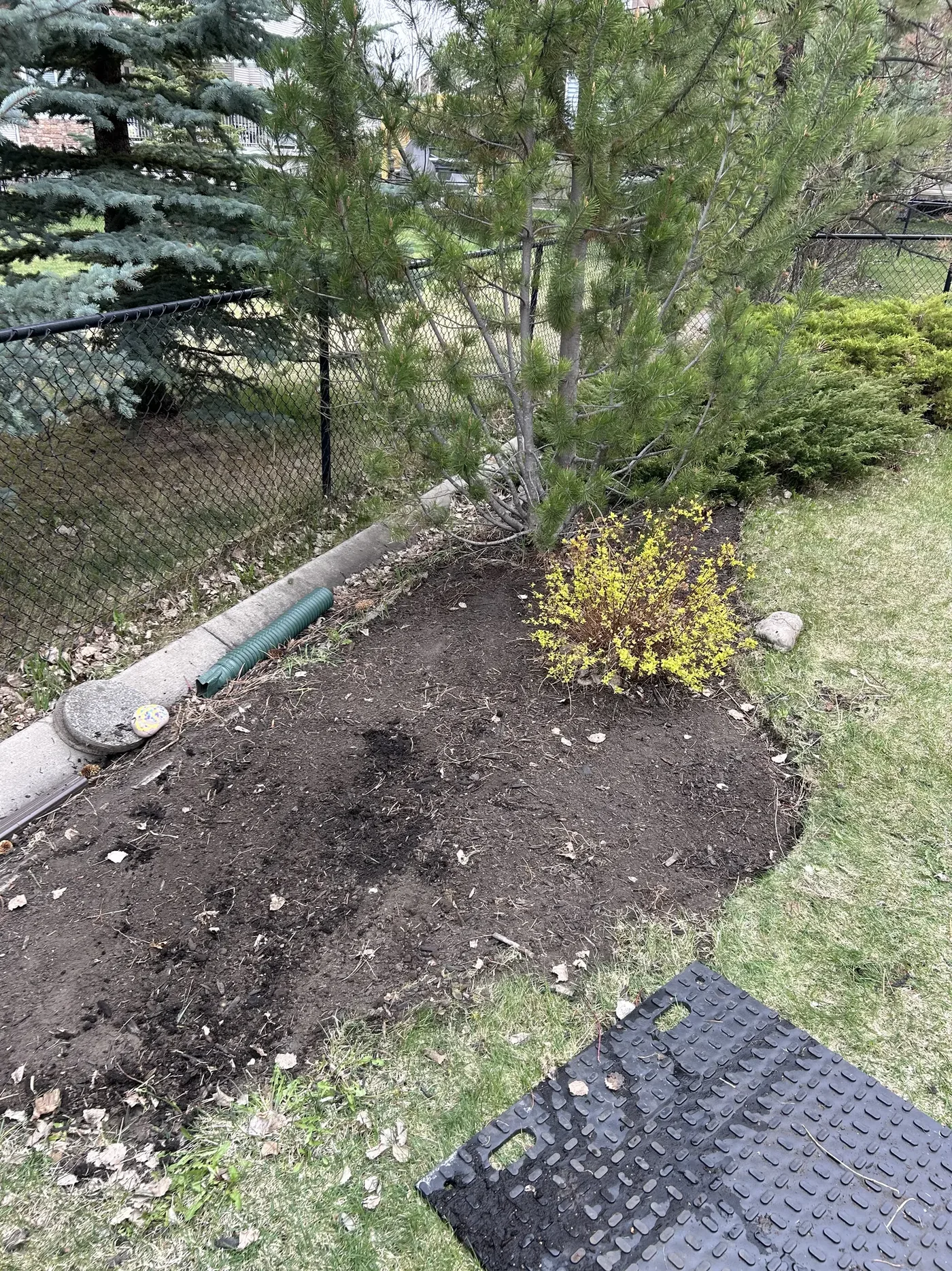 Garden bed before cleanup and rock installation in Calgary