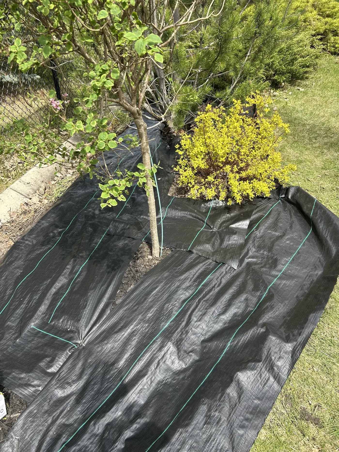 Garden bed during weed barrier installation in Calgary