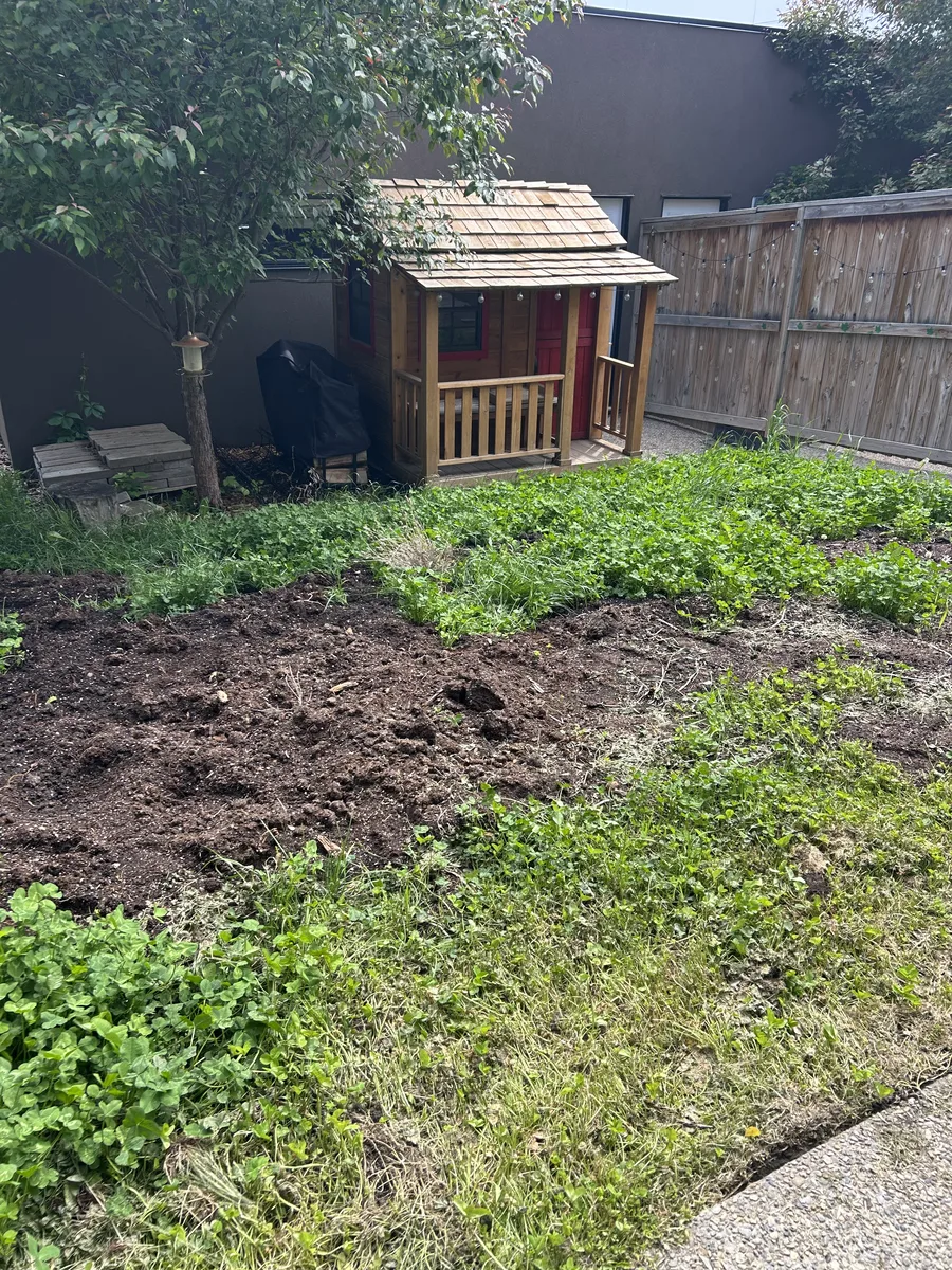 Southwest Calgary backyard before sod and topsoil removal