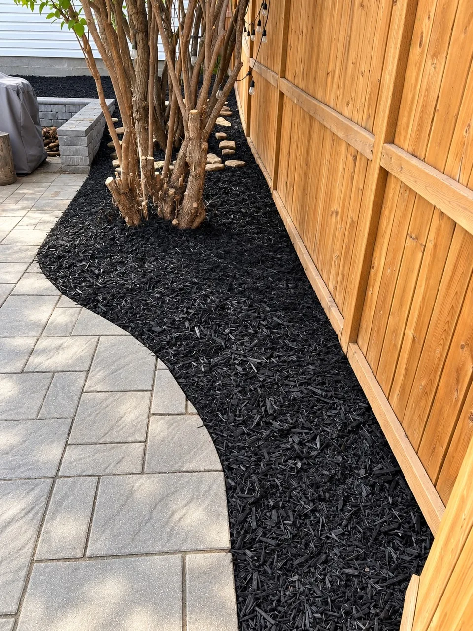 Black mulch following a curved paver patio edge around trees beside a wooden fence